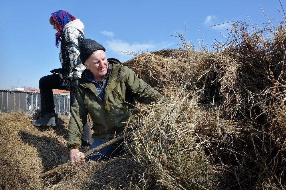 Photograph by Эдуард Голиков