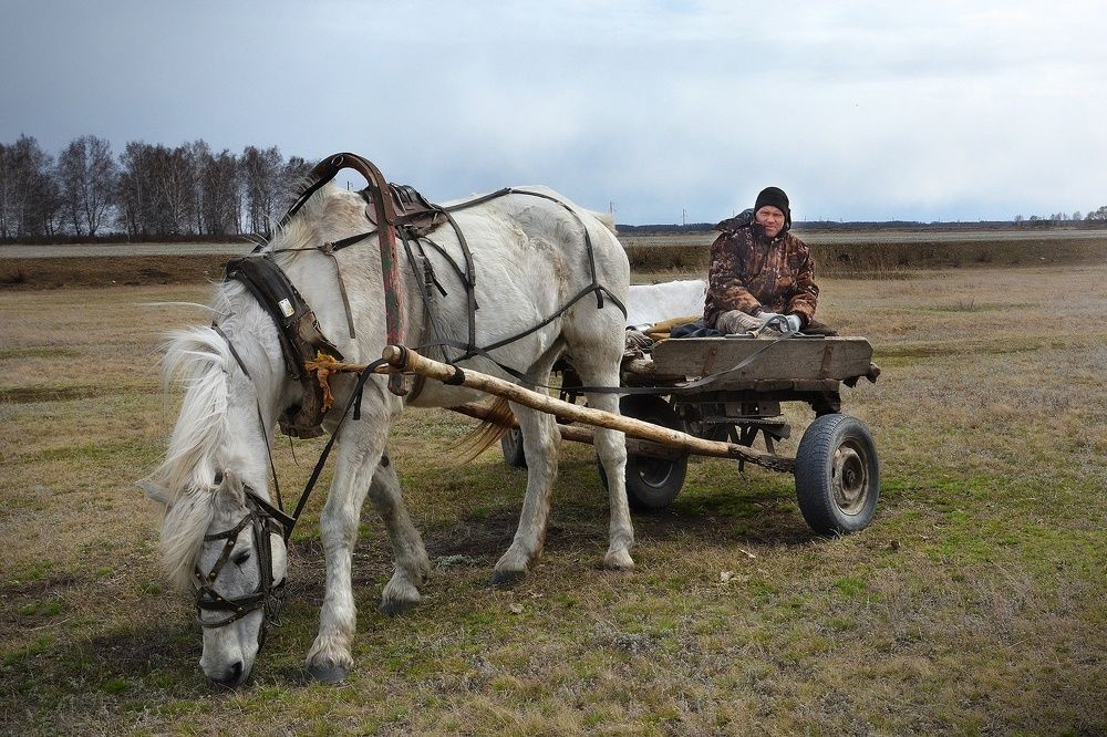 Photograph by Эдуард Голиков