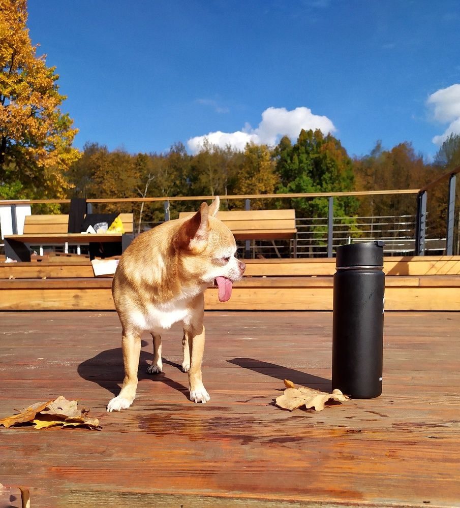 Photograph by Любовь Сухова