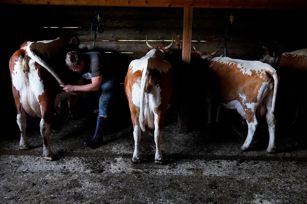 Photograph by Otto Acosta