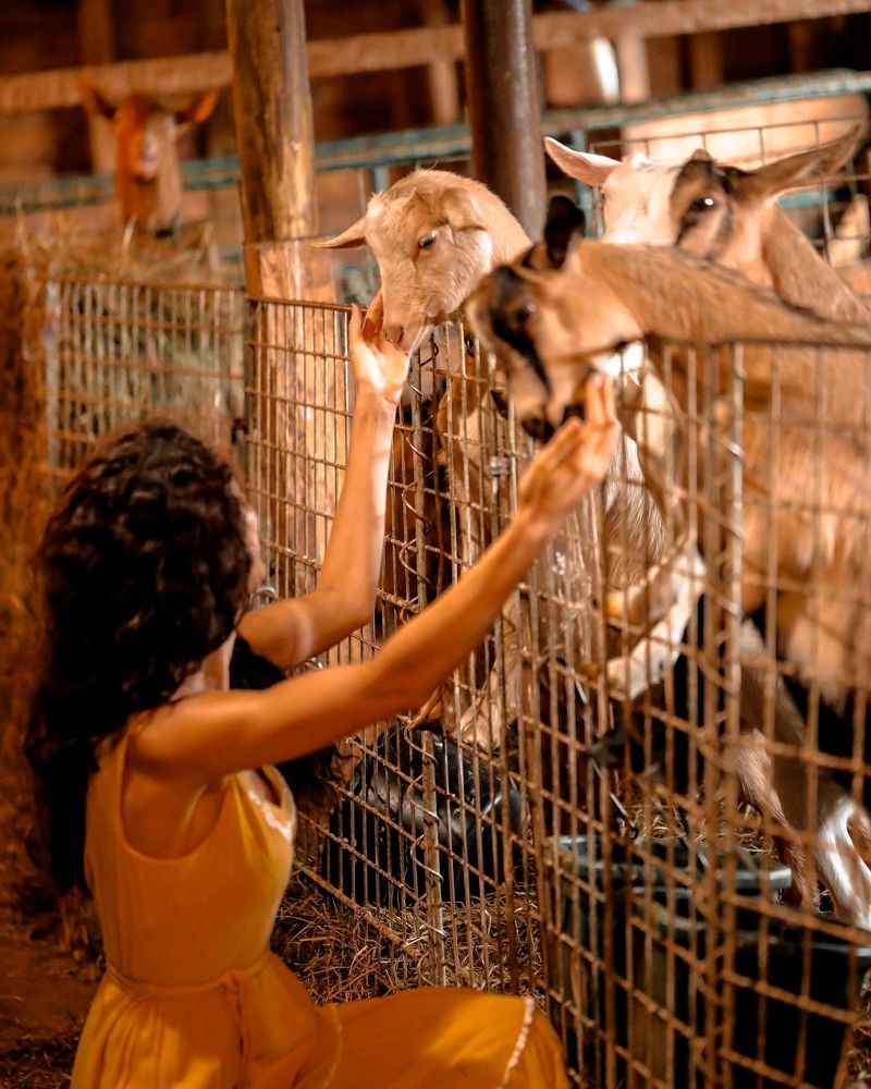 Photograph by Otto Acosta