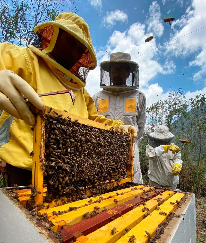 Photograph by Otto Acosta