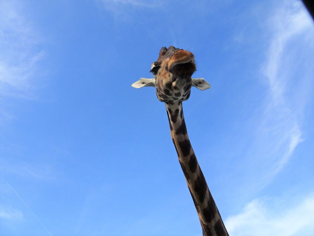 Photograph by Мила Милая