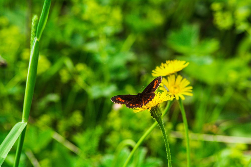 Photograph by Артём Александрович