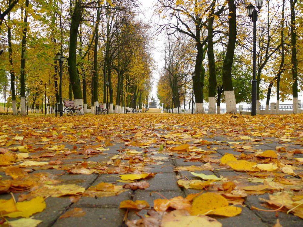 Фотография автора Анатолий Борисов