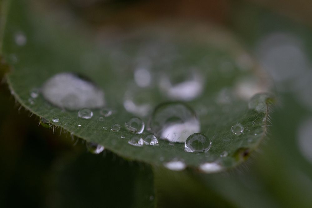 Photograph by Щепанов Дмитрий