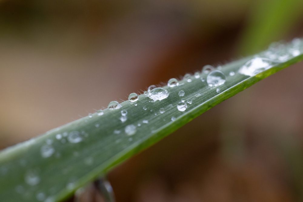 Photograph by Щепанов Дмитрий