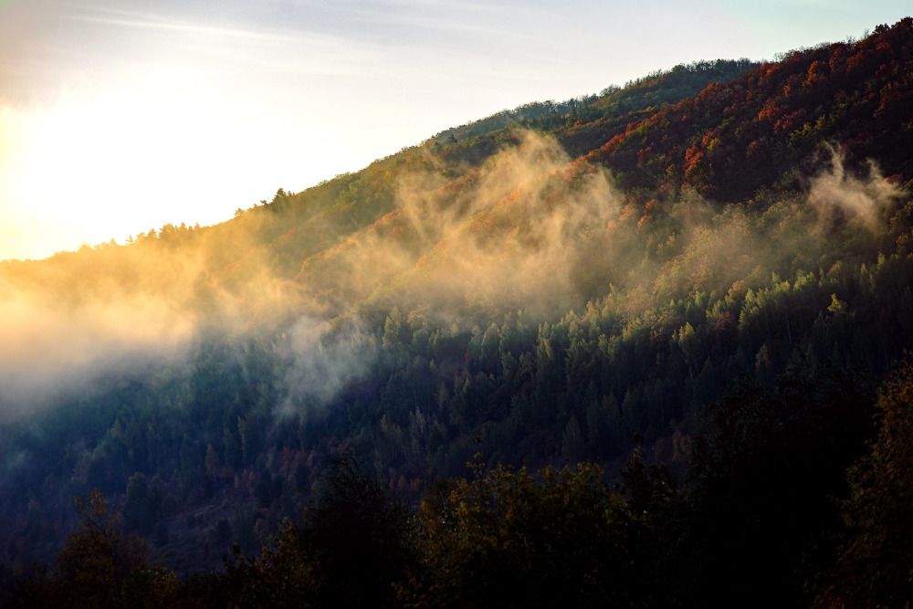 Photograph by Кулишев Николай