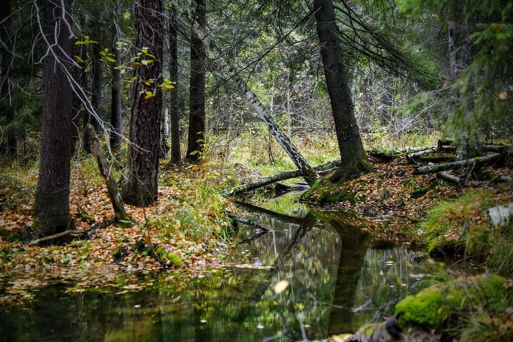 Photograph by Эдуард Голиков