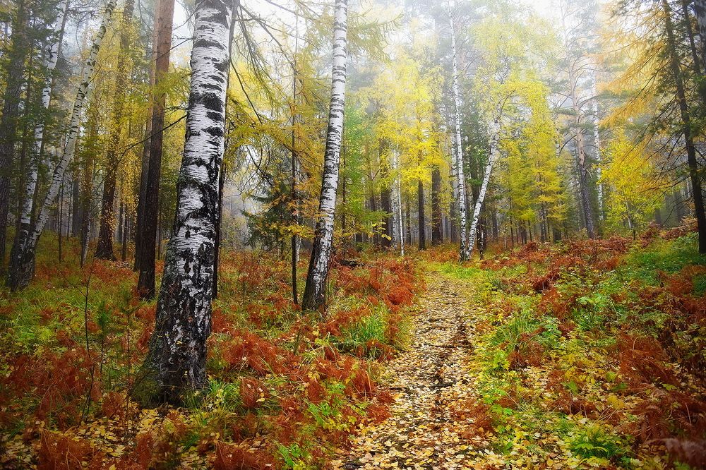 Photograph by Эдуард Голиков