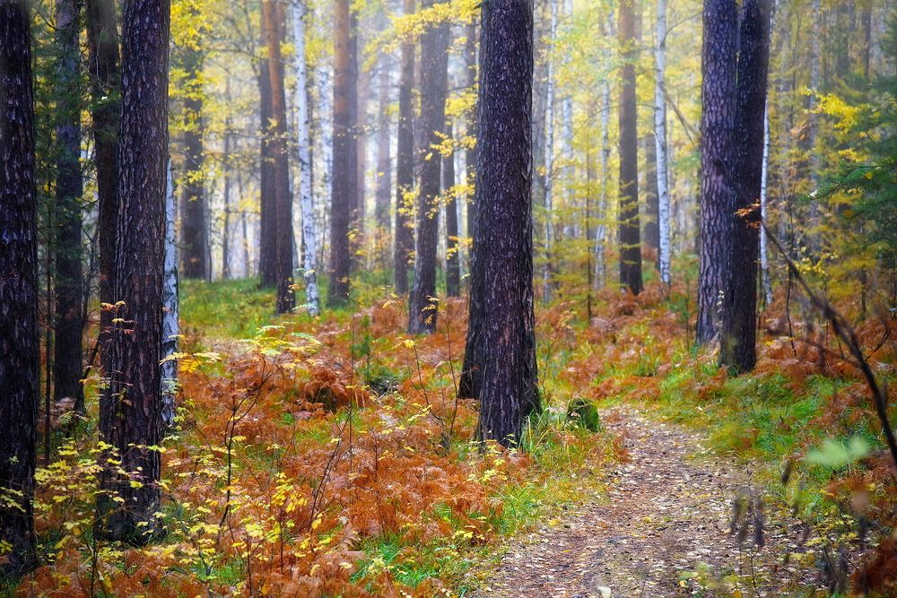 Photograph by Эдуард Голиков