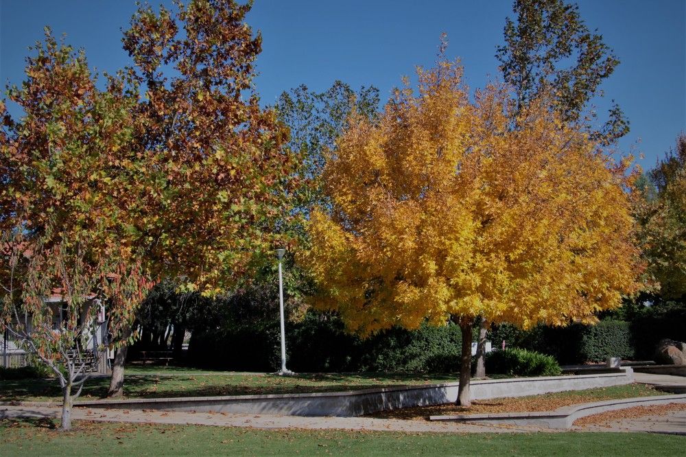 Photograph by Людмила Бутова