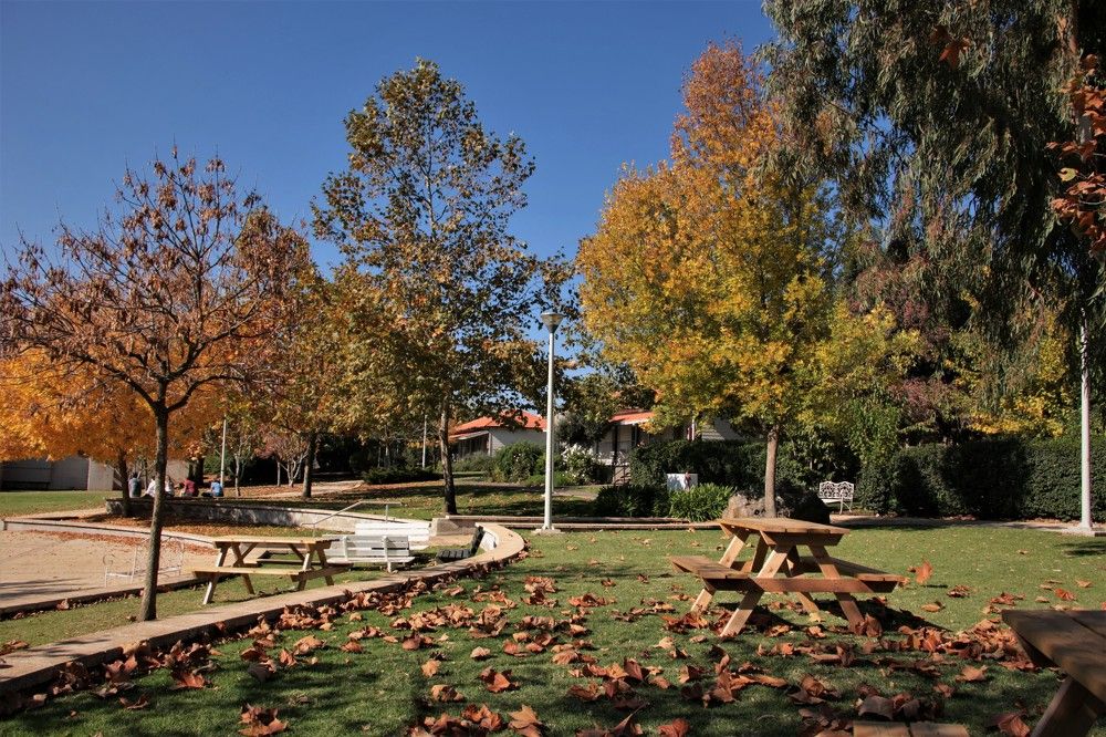 Photograph by Людмила Бутова