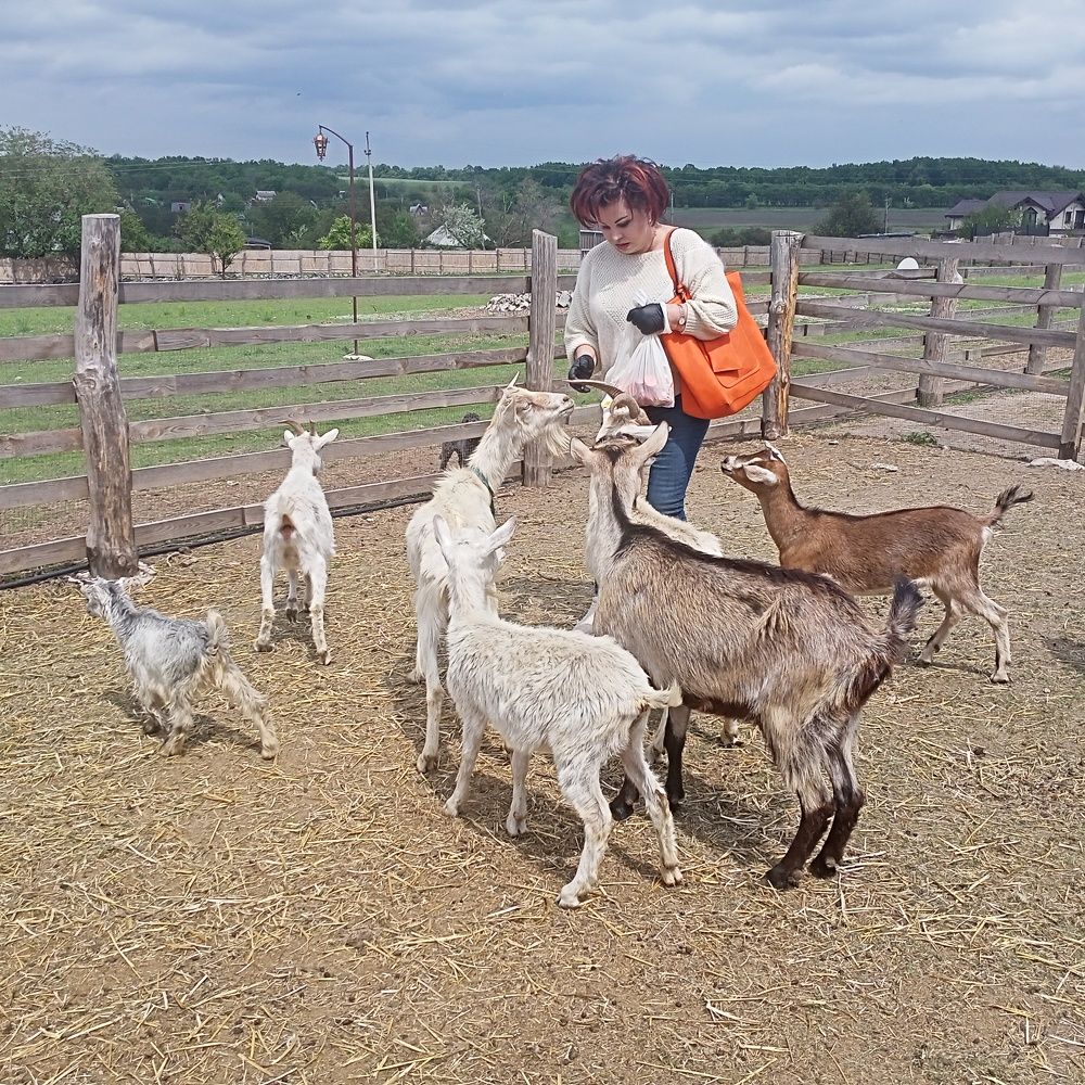 Photograph by Анна Лагун