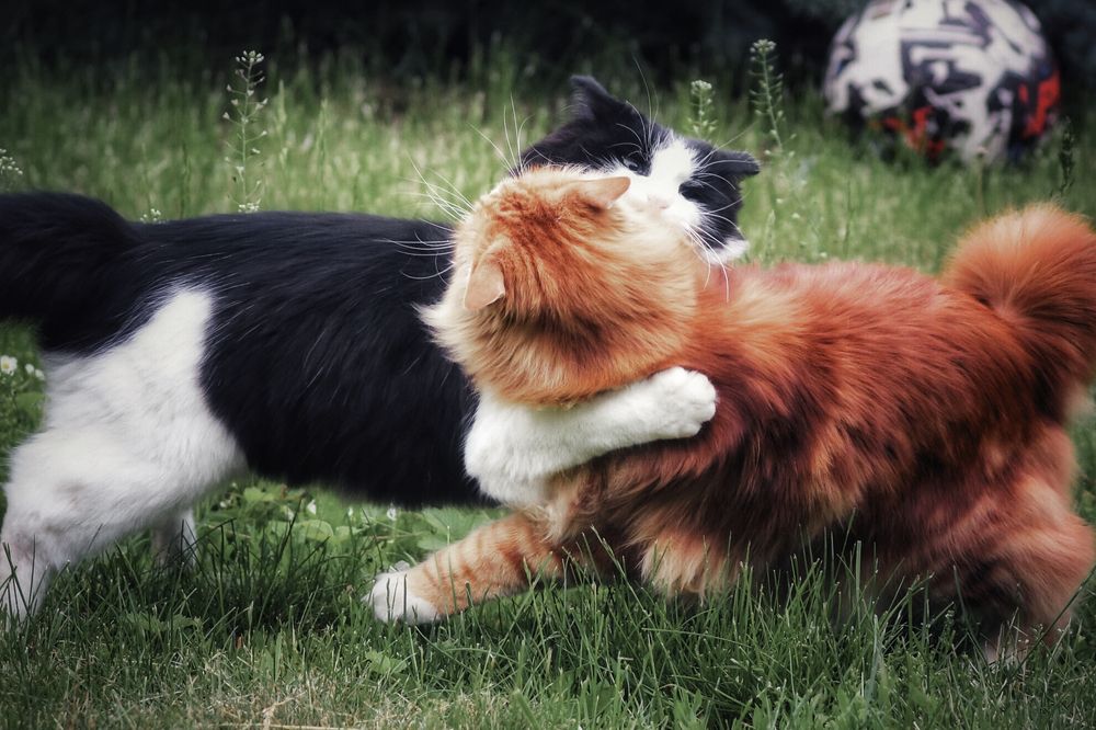 Photograph by Артемий