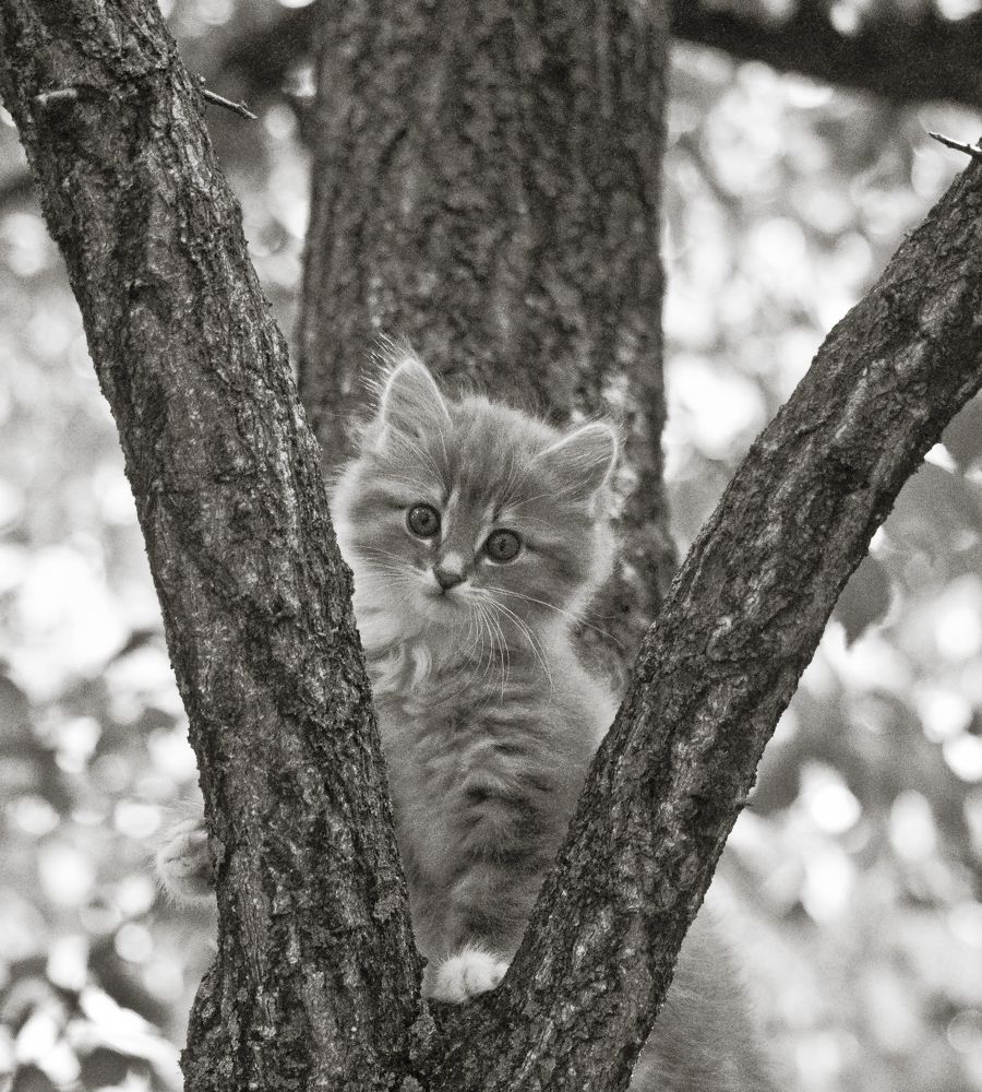 Photograph by Дмитрий Жуков