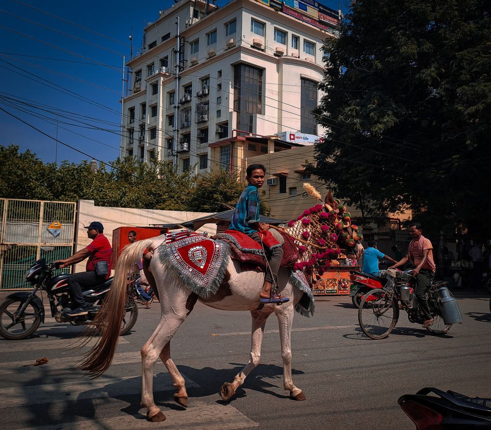 Photograph by Shriya singh