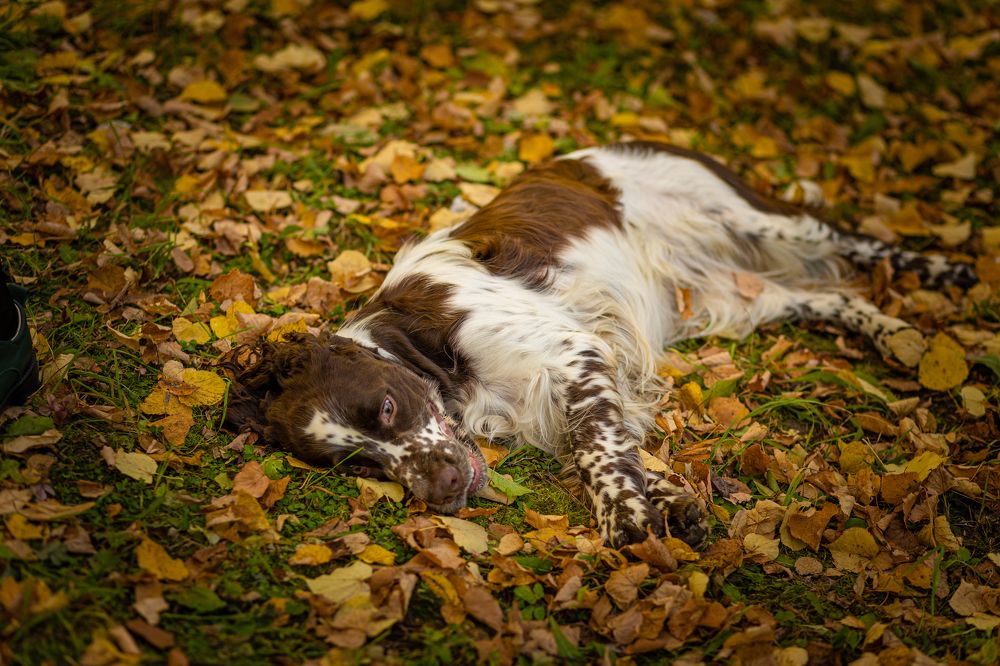 Photograph by Людмила Якурнова