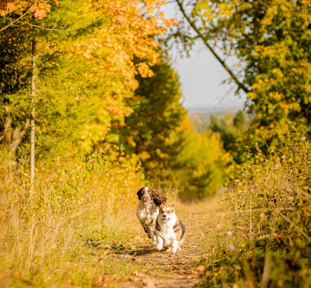 Photograph by Людмила Якурнова