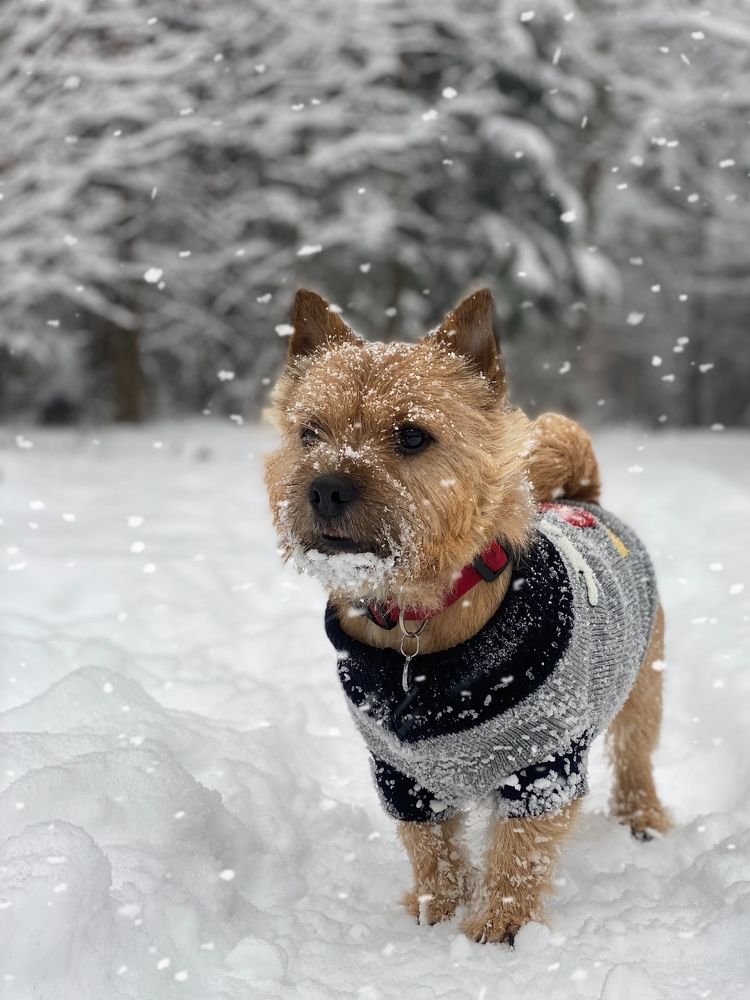 Photograph by Ольга Куколева