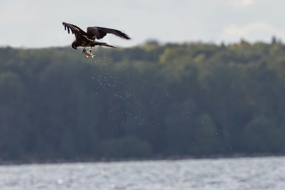 Photograph by Щепанов Дмитрий