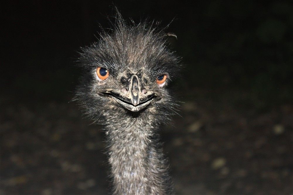 Photograph by Галина