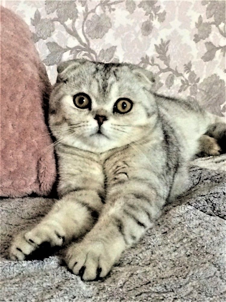 Photograph by Галина