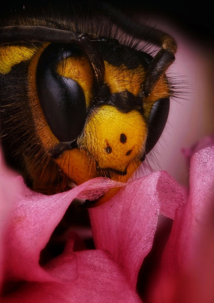 Photograph by Владимир Микрокосмос