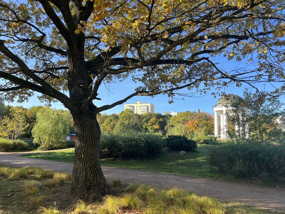 Photograph by Галина Аскольдовна Луковникова