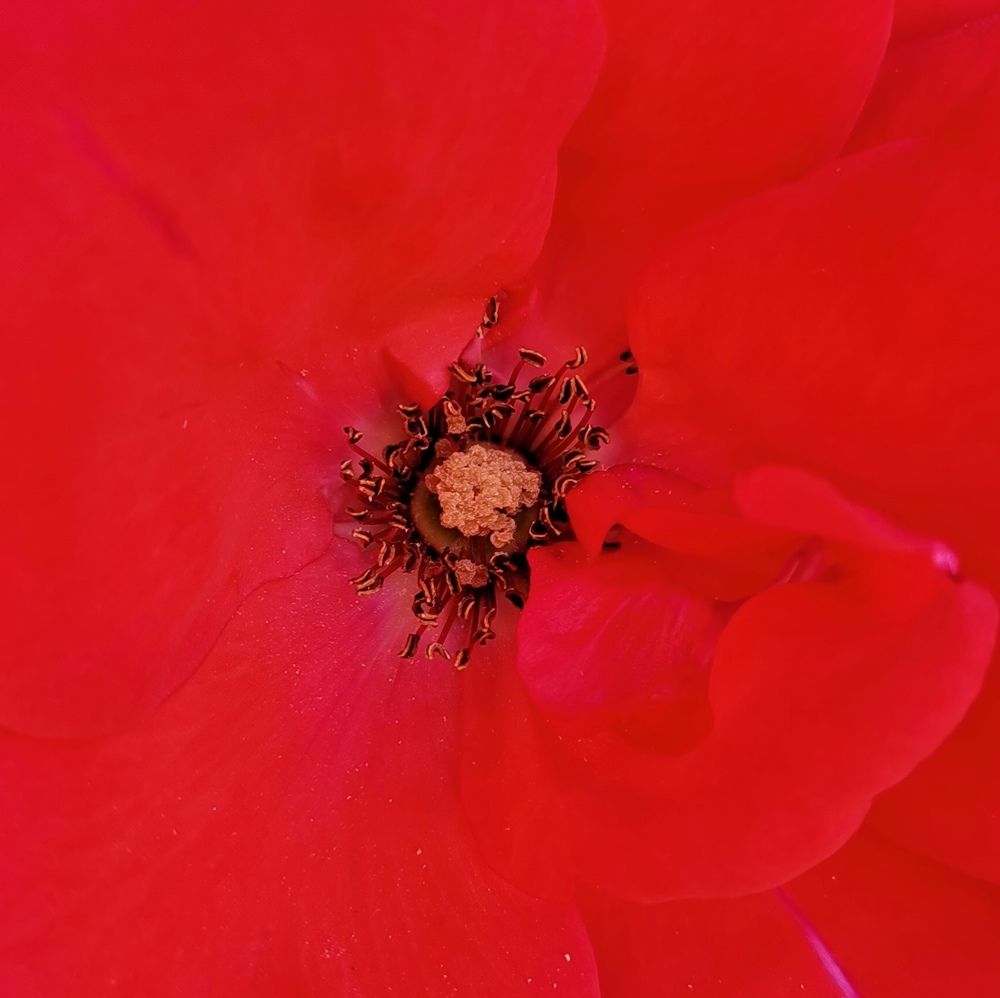 Photograph by Gürsel Düzgüner