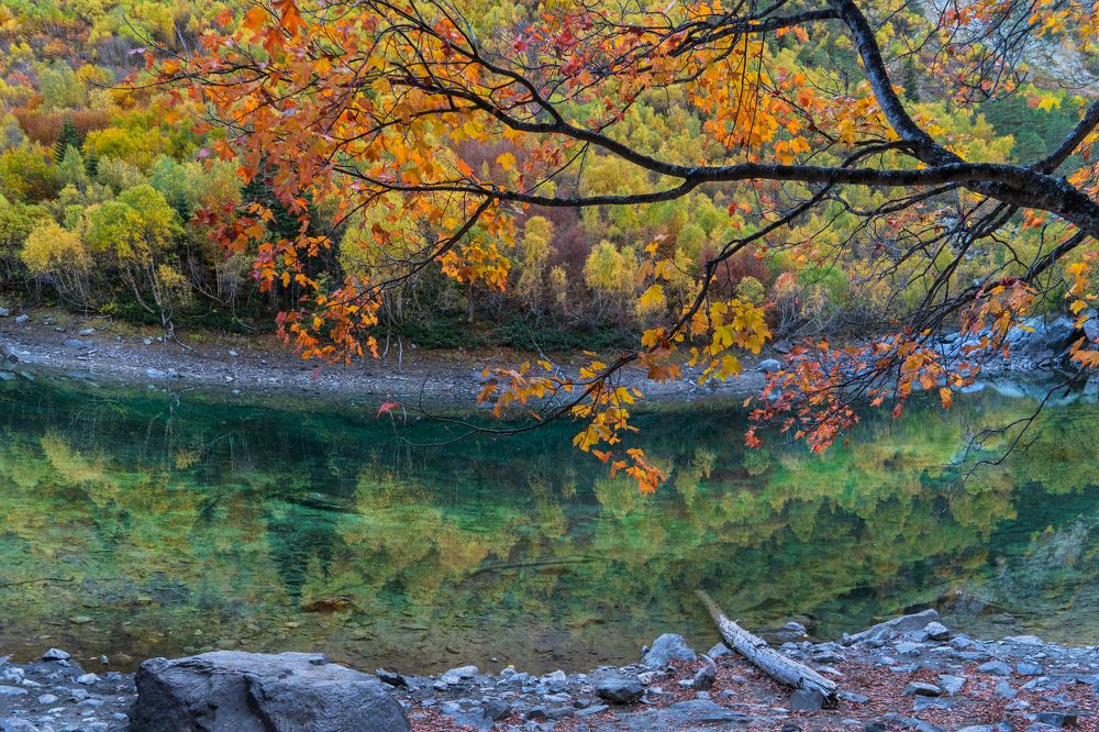 Photograph by Тришина Галина