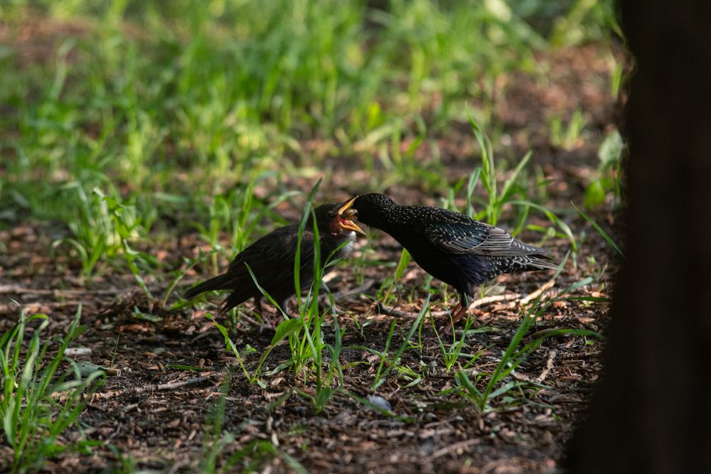 Photograph by Олеся