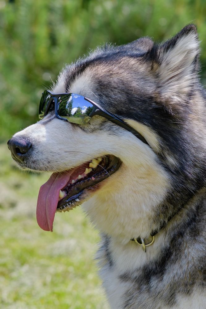 Photograph by Демьян Лопатов