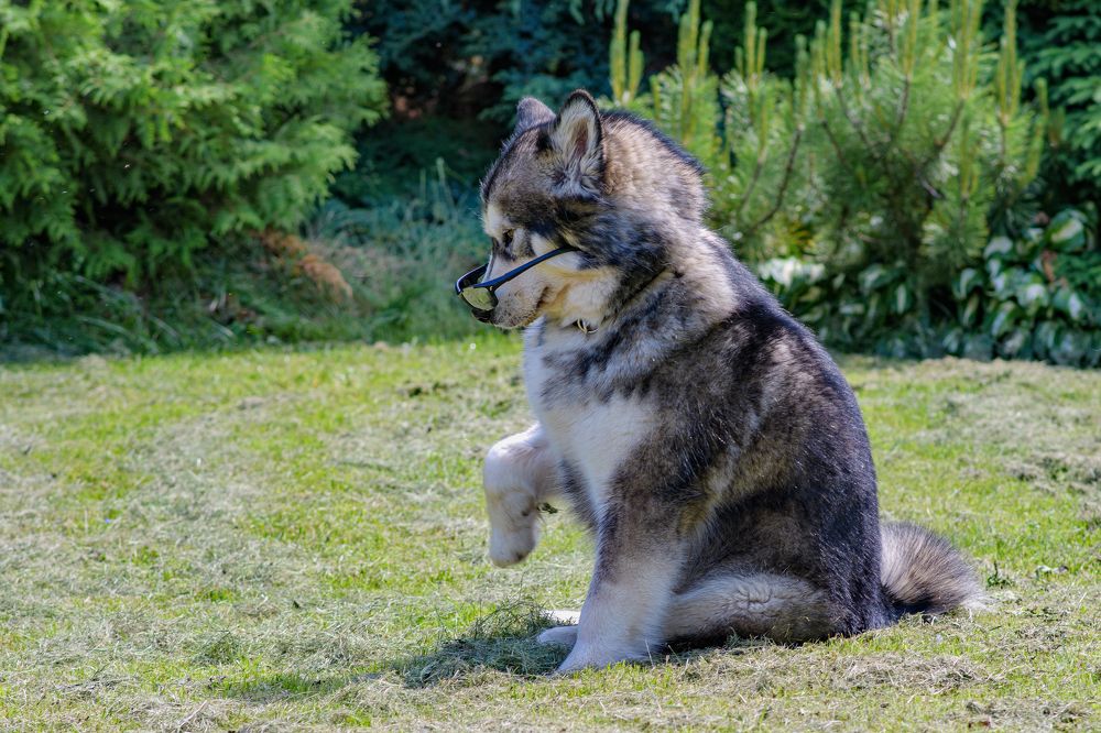 Photograph by Демьян Лопатов