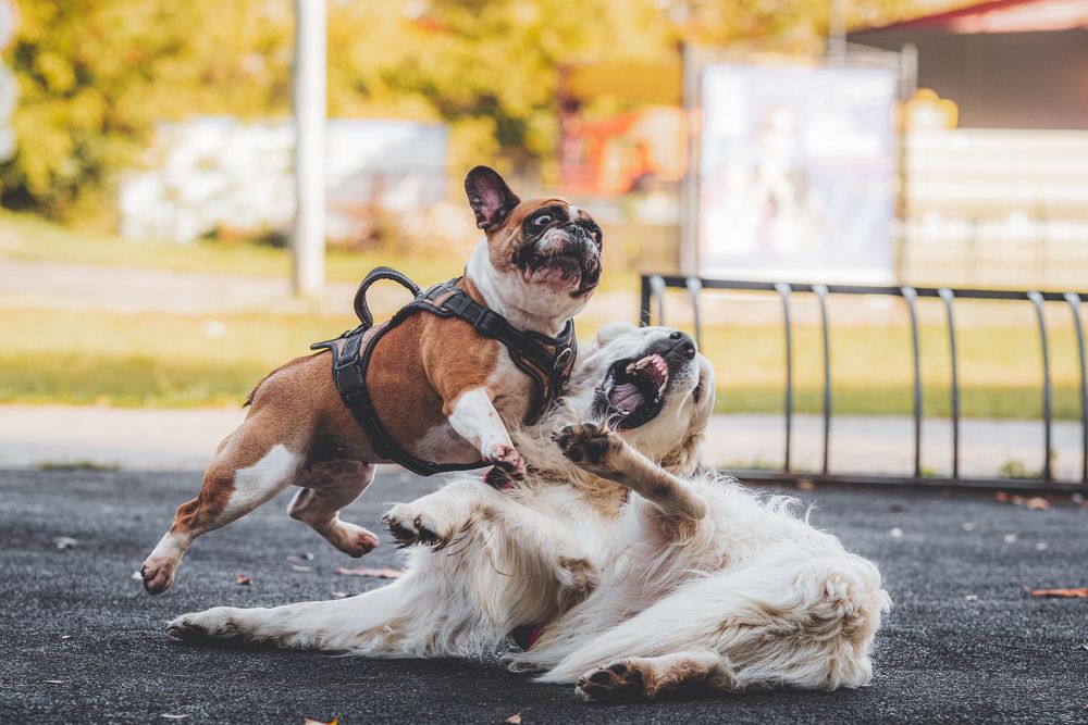 Photograph by Олеся