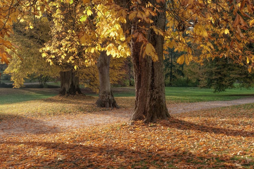 Photograph by Лидия