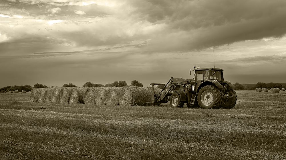 Photograph by Людмила Железнова