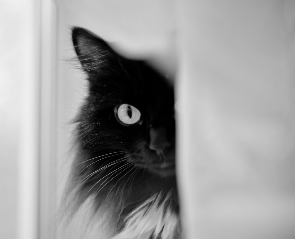 Photograph by Olga Mendosa