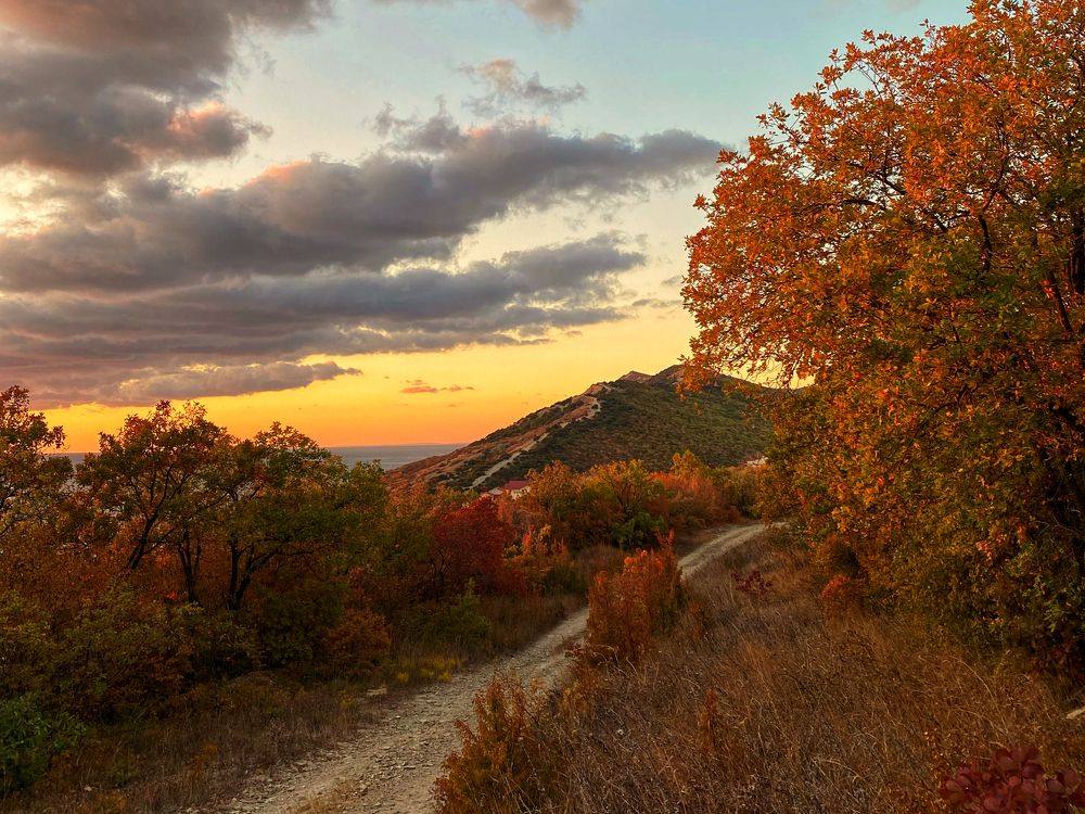 Фотография автора Екатерина Круглик