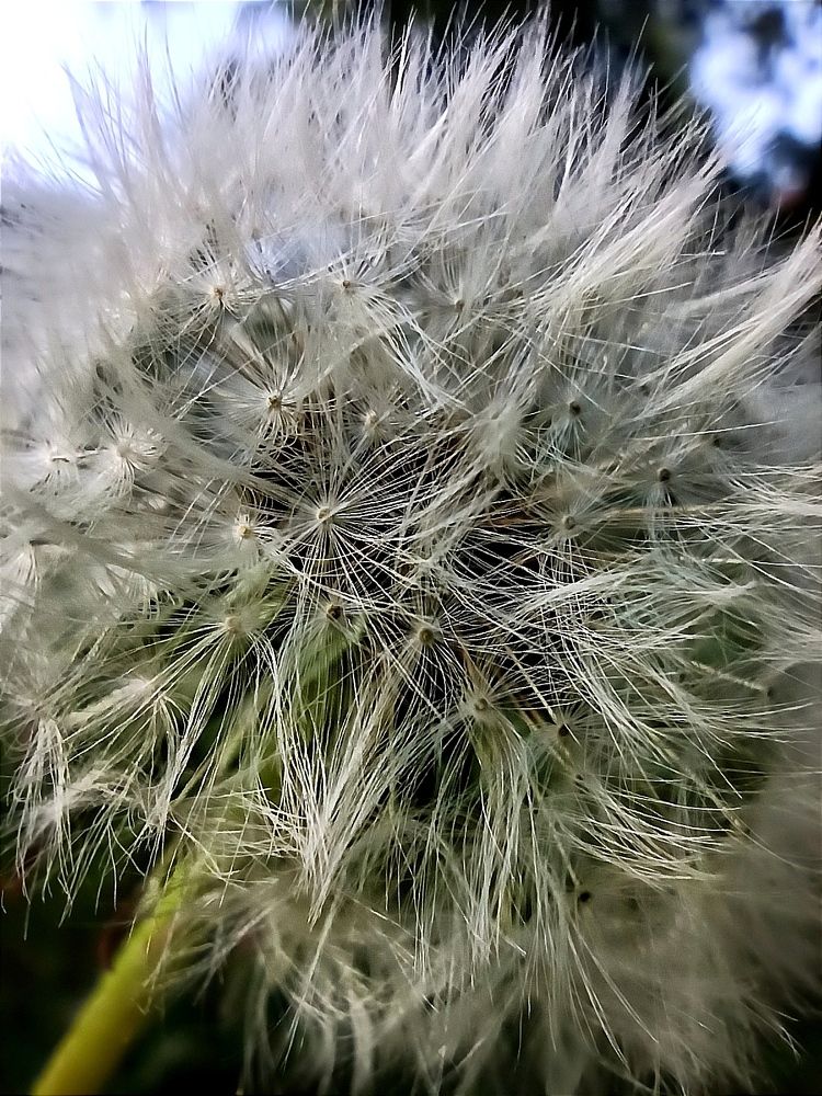 Photograph by Дина Полухина