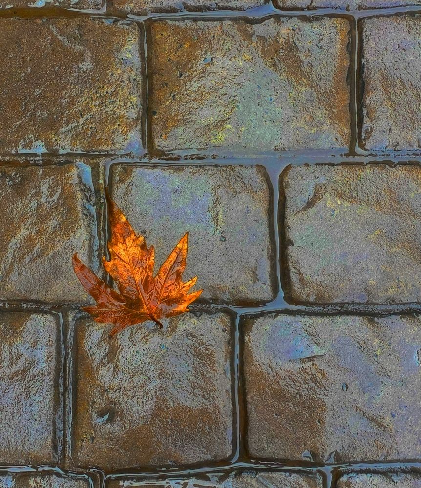 Фотография автора Рожнов Кирилл