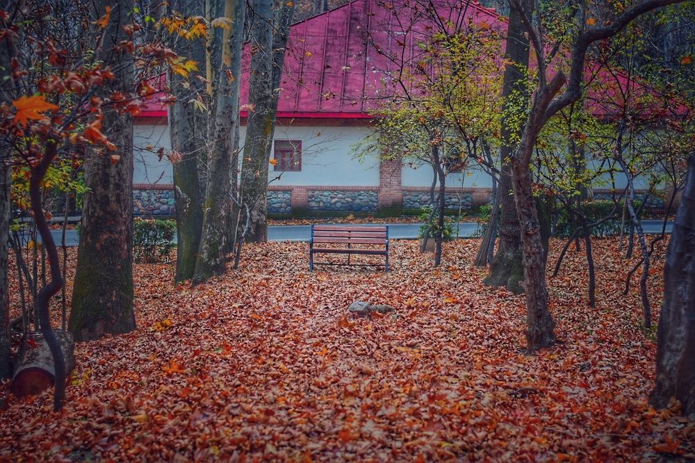 Фотография автора Mehran Nafisi