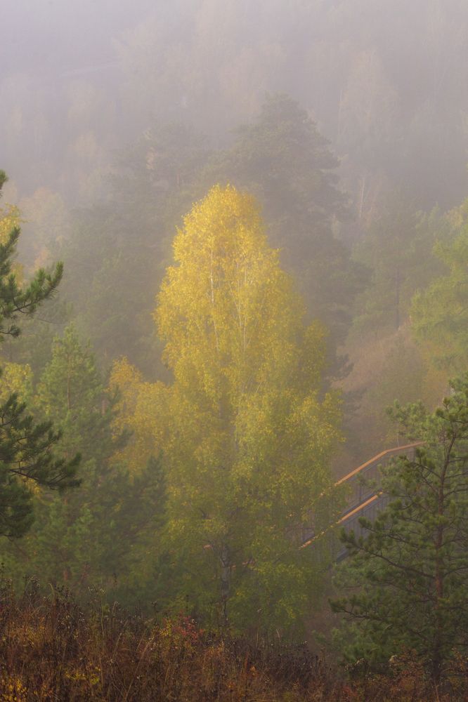 Photograph by Емельянов Саша