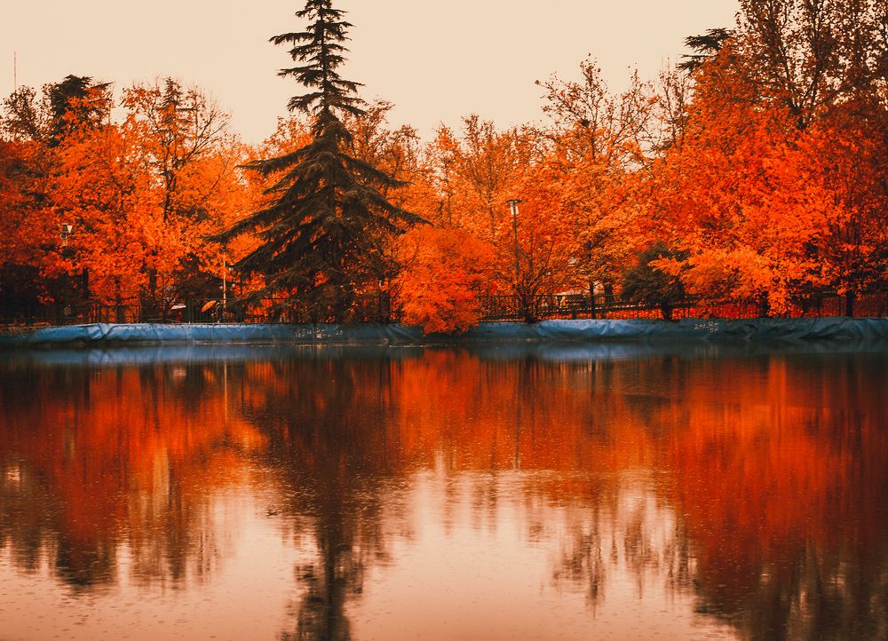 Фотография автора Mehran Nafisi