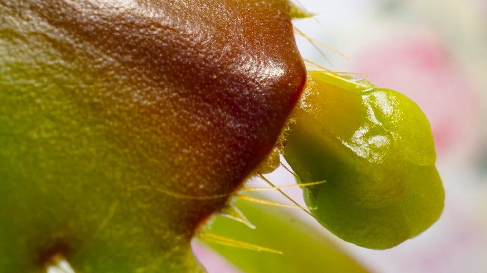 Photograph by Михаил Трусов