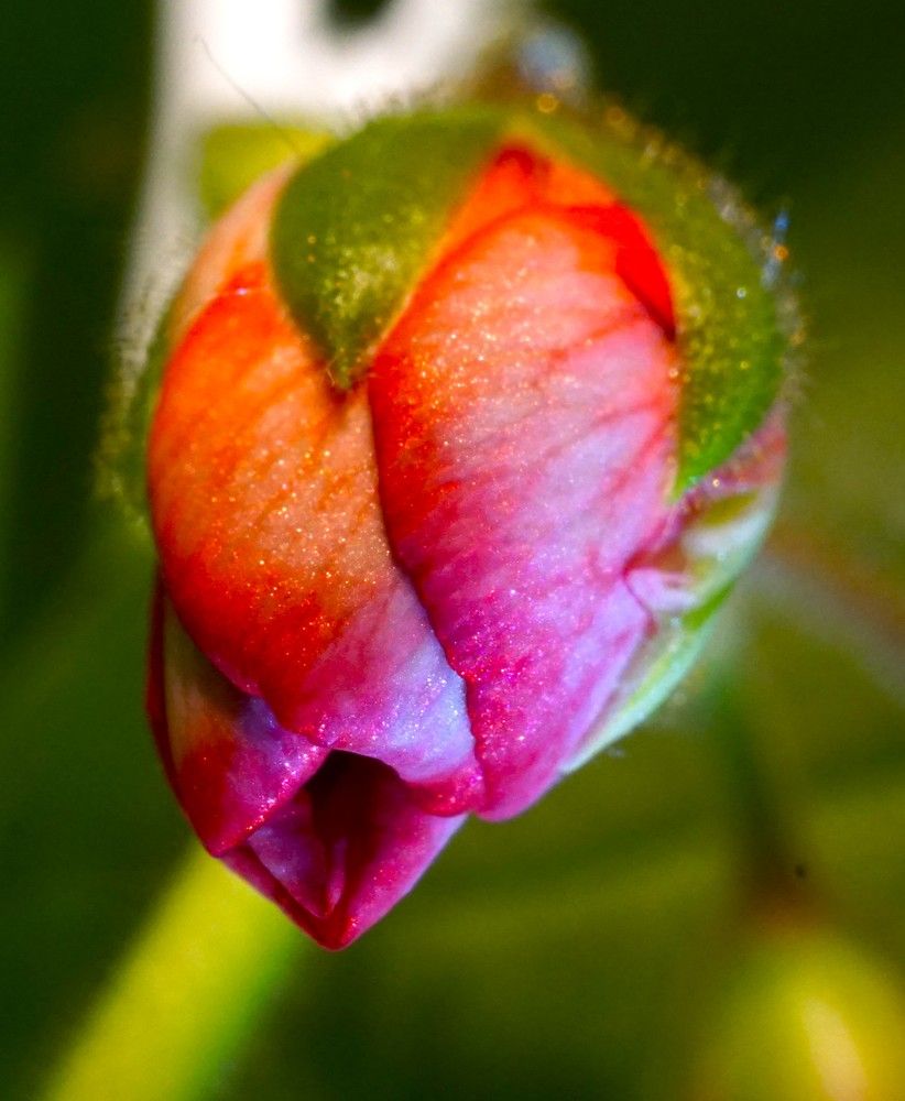 Photograph by Михаил Трусов