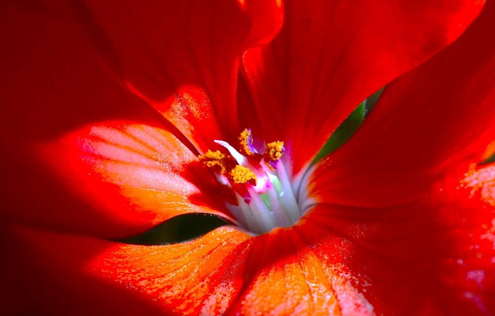 Photograph by Михаил Трусов