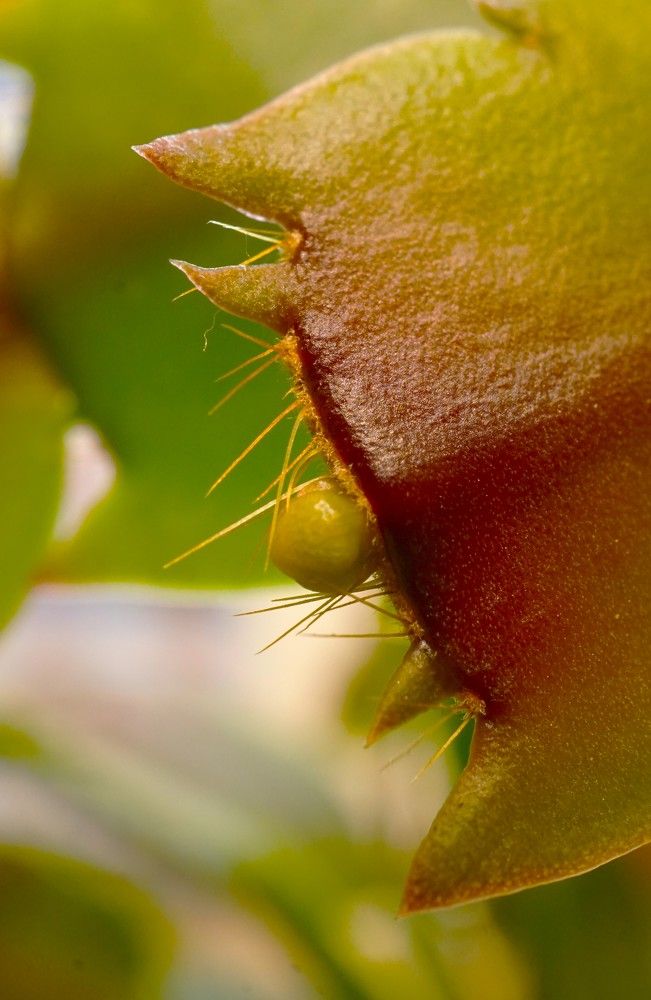 Photograph by Михаил Трусов