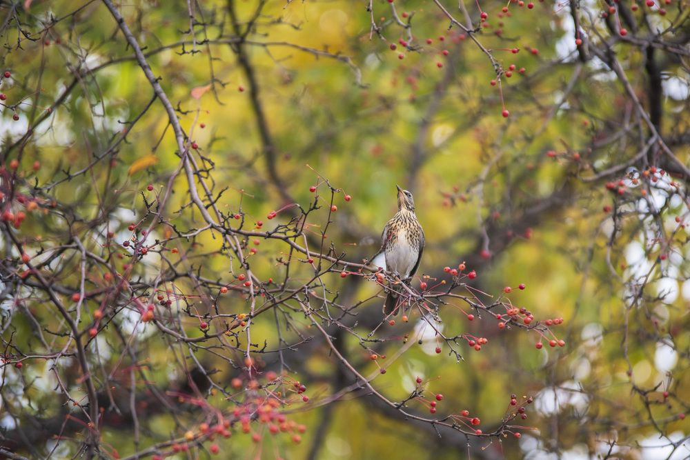 Photograph by Олеся Легостаева