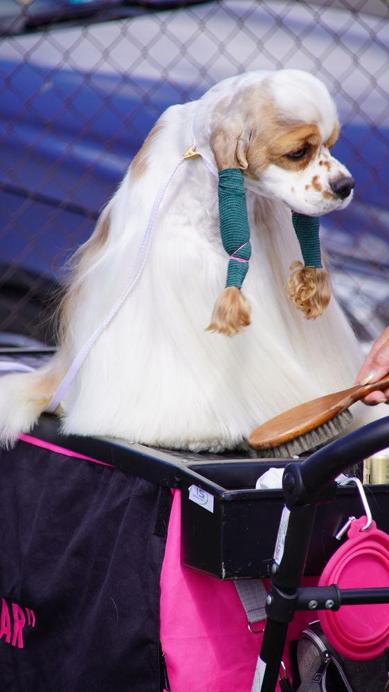 Photograph by Toomas Tõnisalu